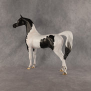 Flocking On A Dream OOAK Arabian Stallion by Carissa Mathews DDOOAKs26