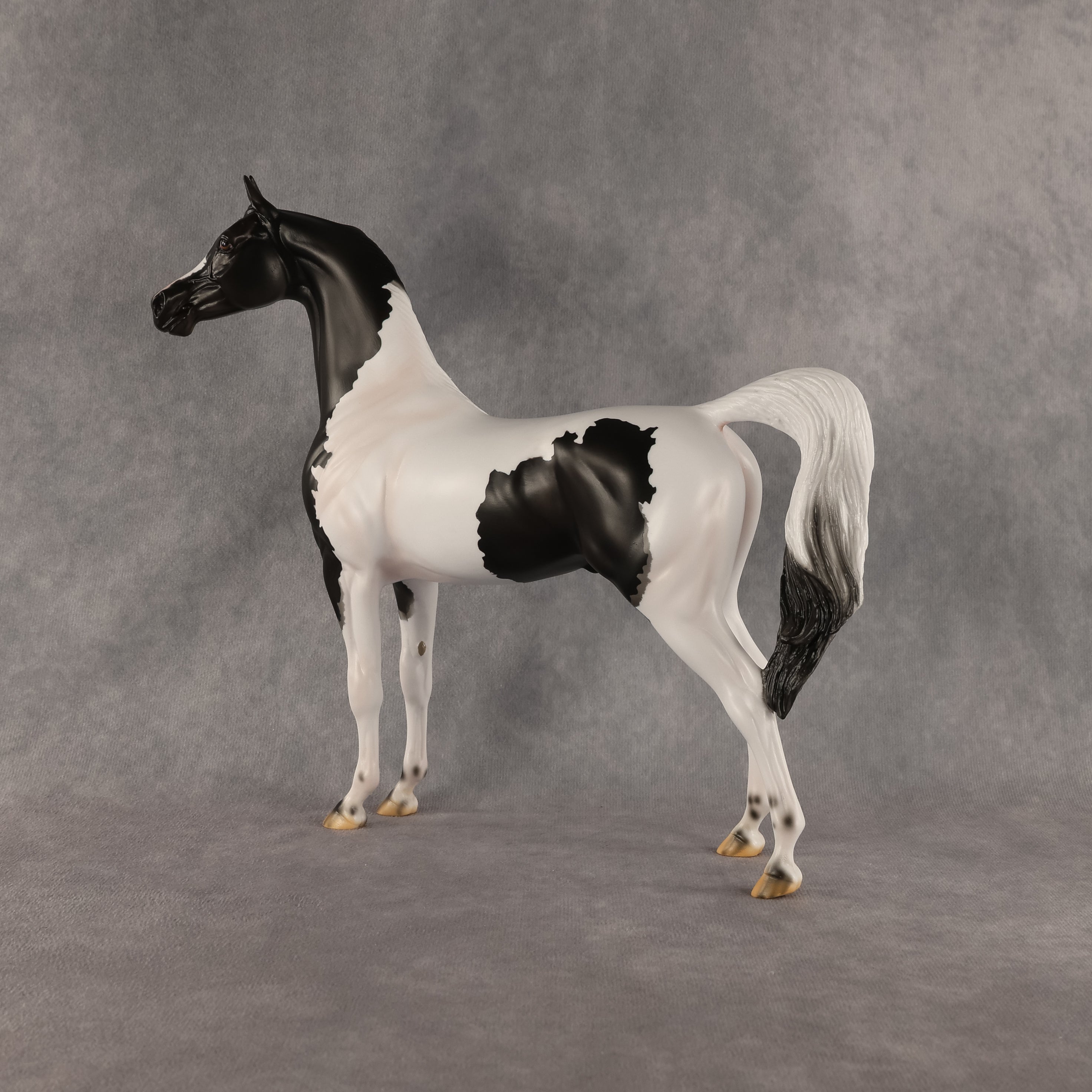 Flocking On A Dream OOAK Arabian Stallion by Carissa Mathews DDOOAKs26