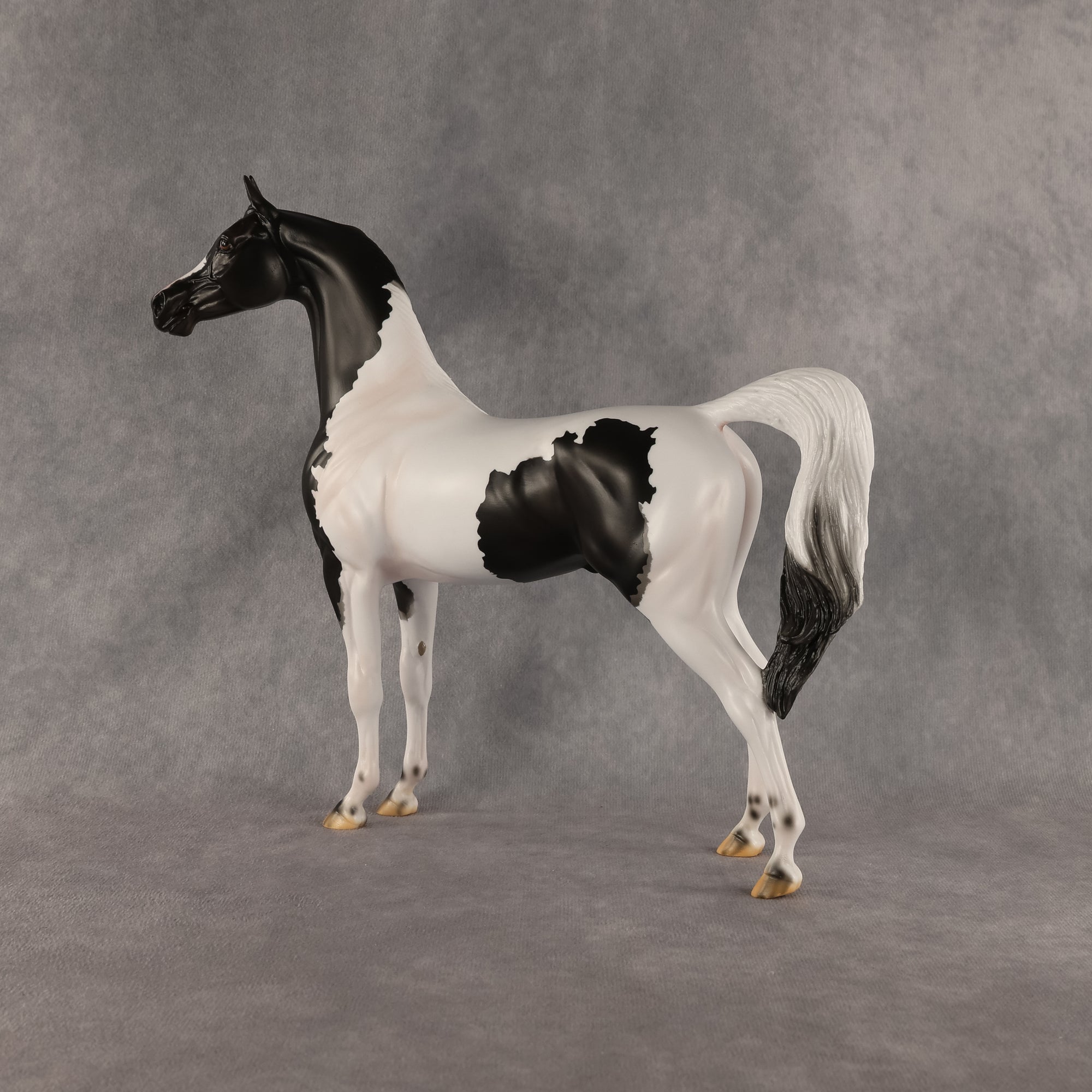 Flocking On A Dream OOAK Arabian Stallion by Carissa Mathews DDOOAKs26