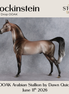 Flockinstein OOAK Arabian Stallion by Dawn Quick DDOOAKs26