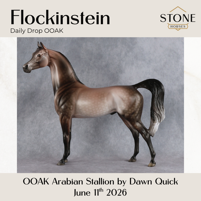 Flockinstein OOAK Arabian Stallion by Dawn Quick DDOOAKs26