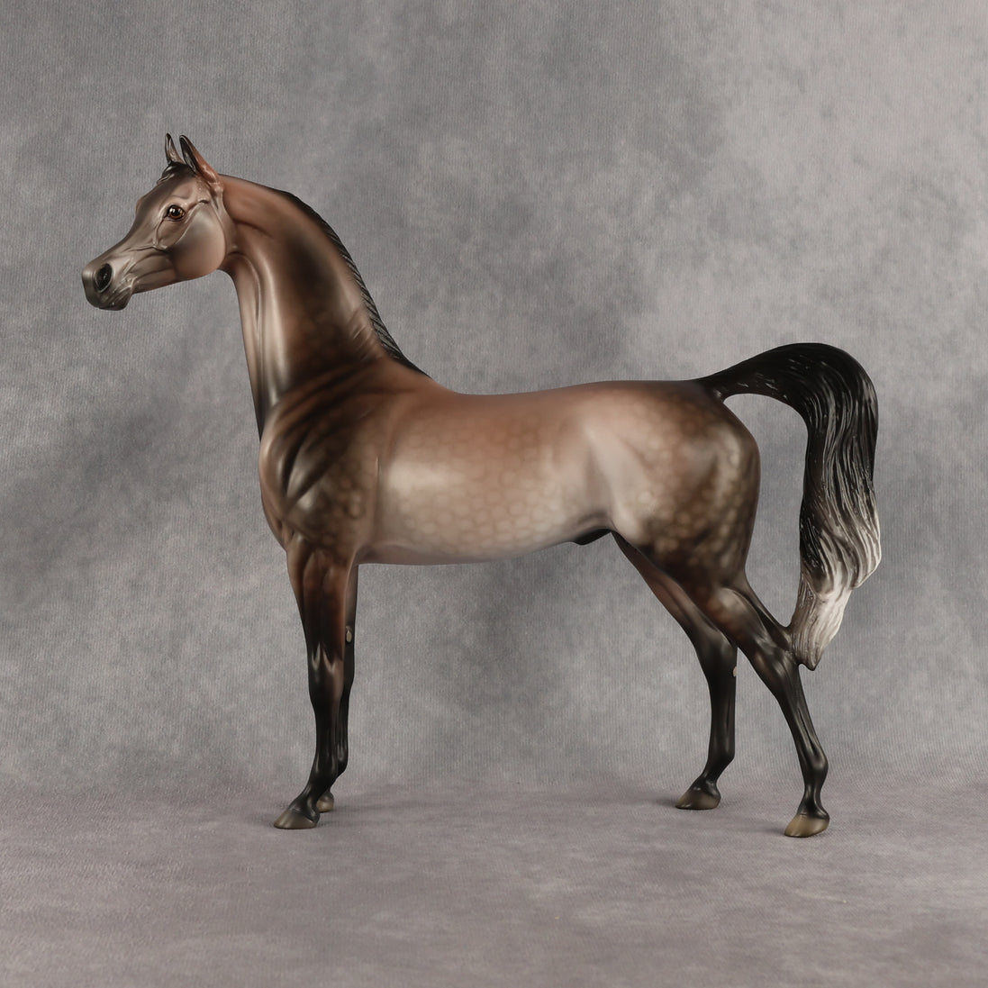 Flockinstein OOAK Arabian Stallion by Dawn Quick DDOOAKs26