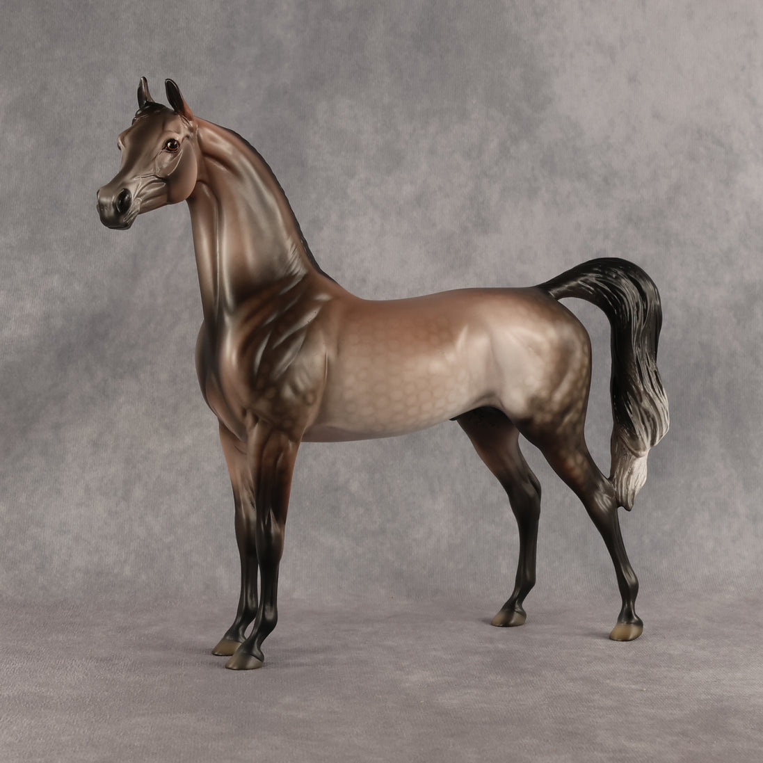 Flockinstein OOAK Arabian Stallion by Dawn Quick DDOOAKs26