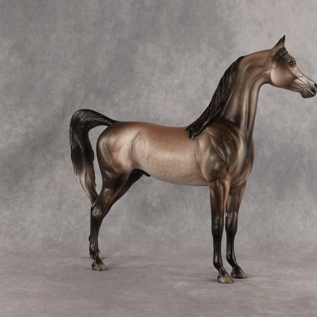 Flockinstein OOAK Arabian Stallion by Dawn Quick DDOOAKs26