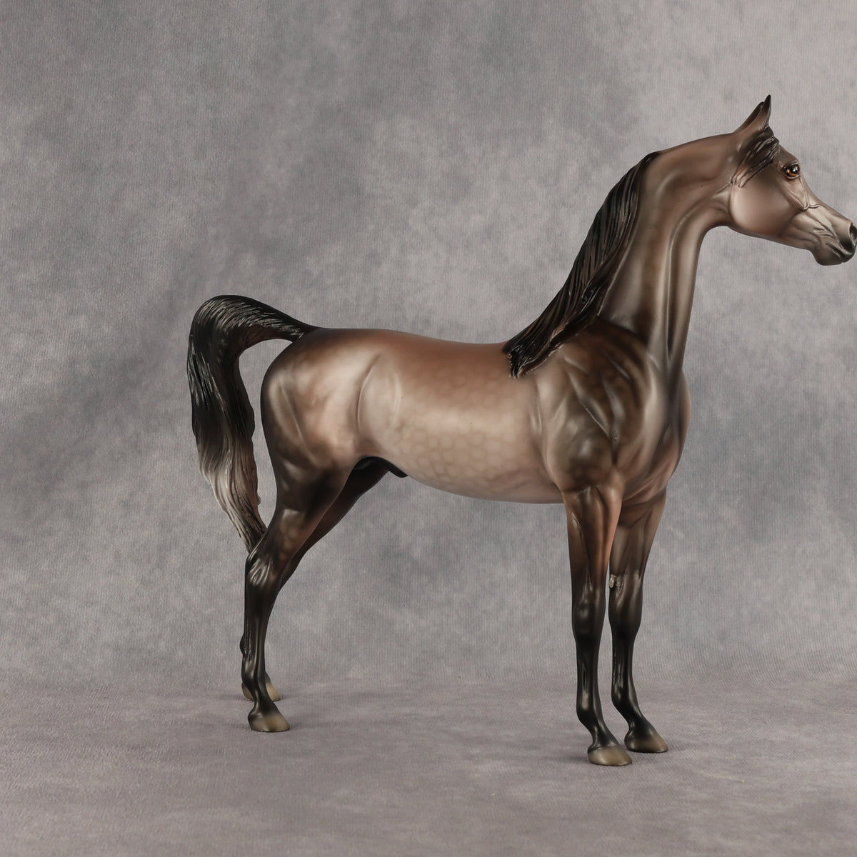 Flockinstein OOAK Arabian Stallion by Dawn Quick DDOOAKs26