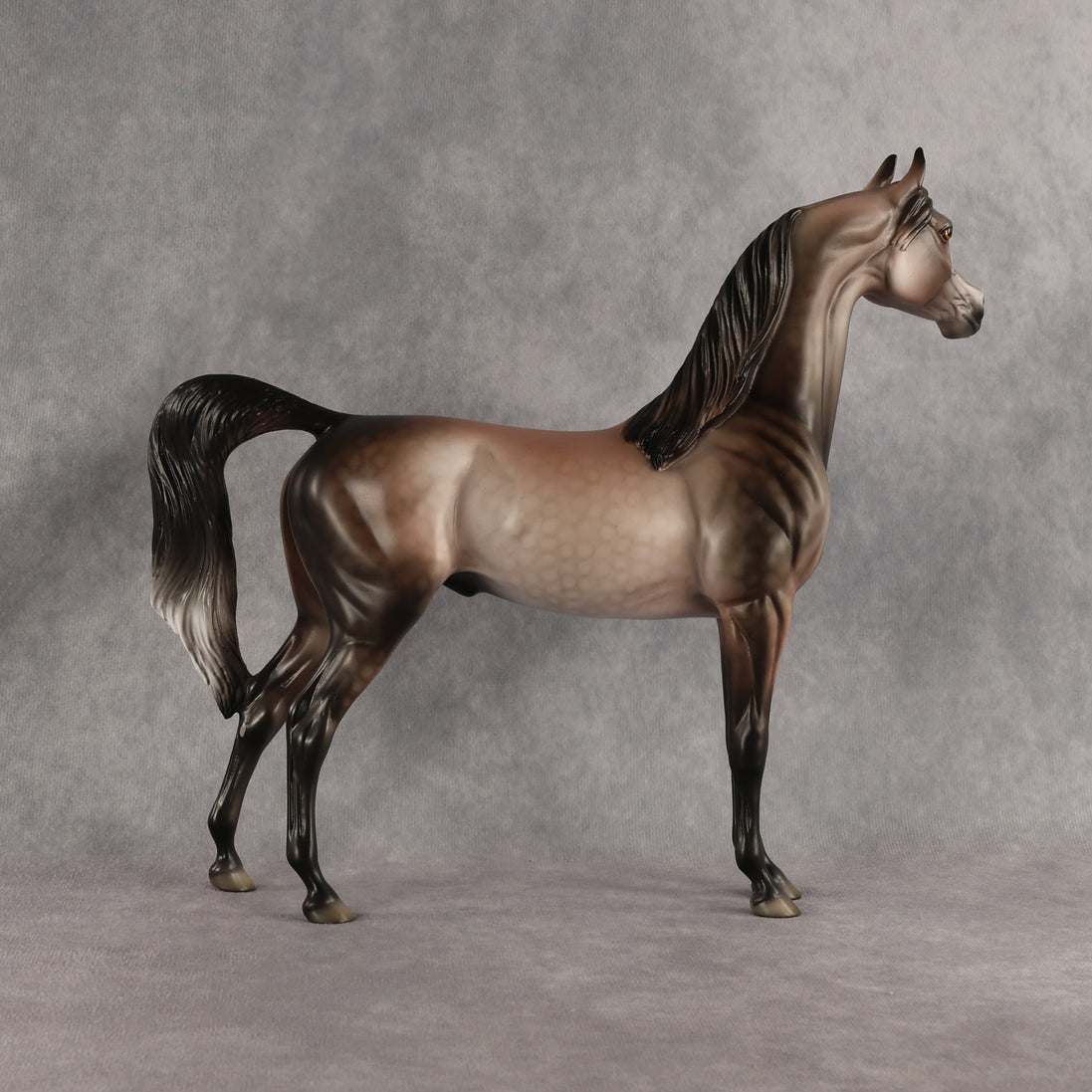 Flockinstein OOAK Arabian Stallion by Dawn Quick DDOOAKs26