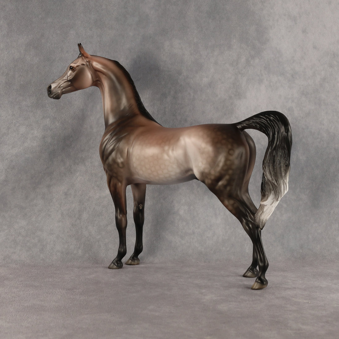 Flockinstein OOAK Arabian Stallion by Dawn Quick DDOOAKs26