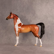 Flock of July OOAK Arabian Stallion by Alex Fortman DDOOAKs26