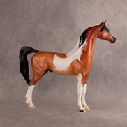 Flock of July OOAK Arabian Stallion by Alex Fortman DDOOAKs26