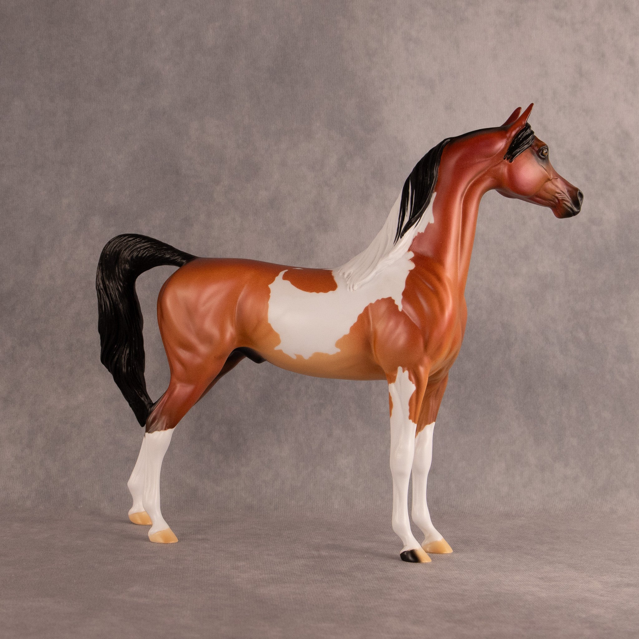 Flock of July OOAK Arabian Stallion by Alex Fortman DDOOAKs26