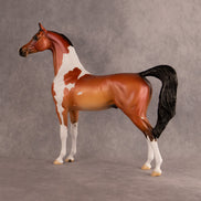 Flock of July OOAK Arabian Stallion by Alex Fortman DDOOAKs26