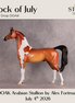 Flock of July OOAK Arabian Stallion by Alex Fortman DDOOAKs26