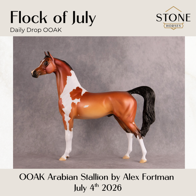 Flock of July OOAK Arabian Stallion by Alex Fortman DDOOAKs26