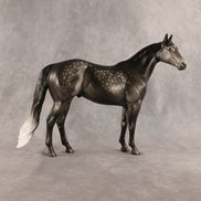 Flocky Slush OOAK Ideal Stock Horse by Madi Wiseman DDOOAKs26