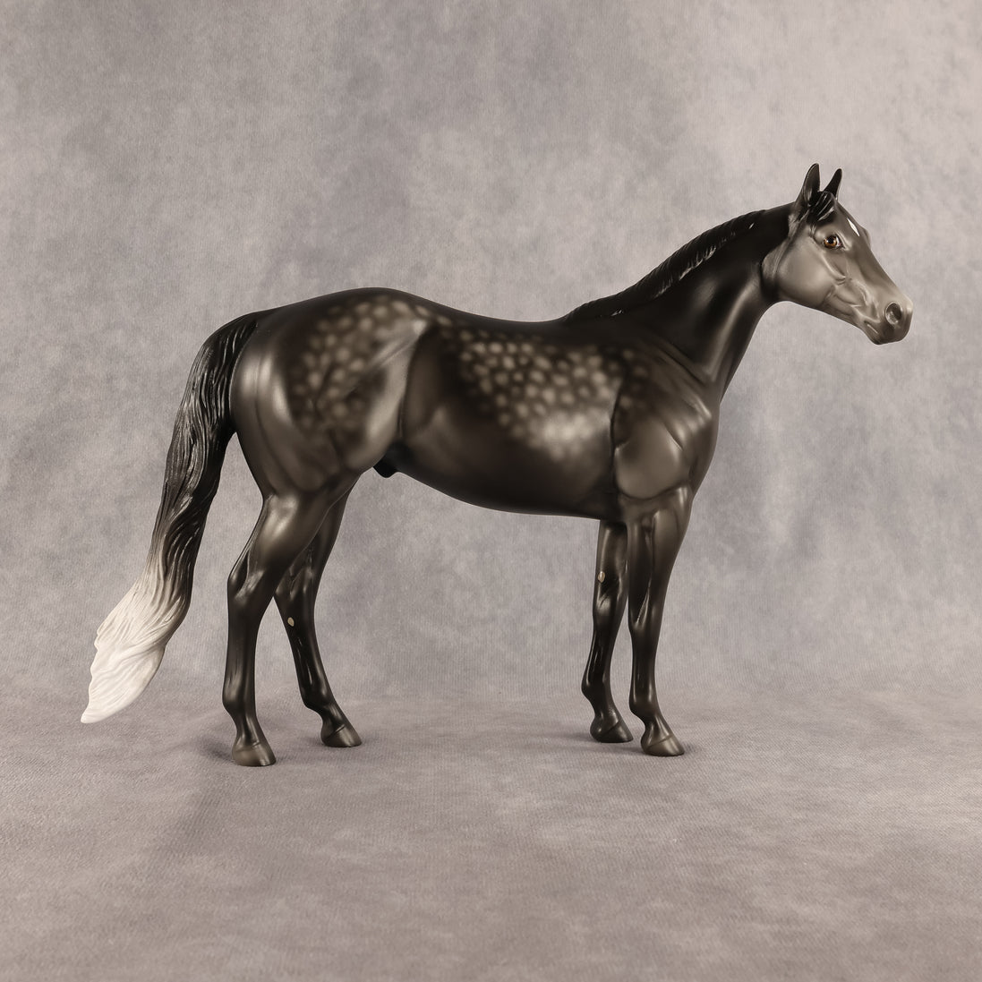 Flocky Slush OOAK Ideal Stock Horse by Madi Wiseman DDOOAKs26