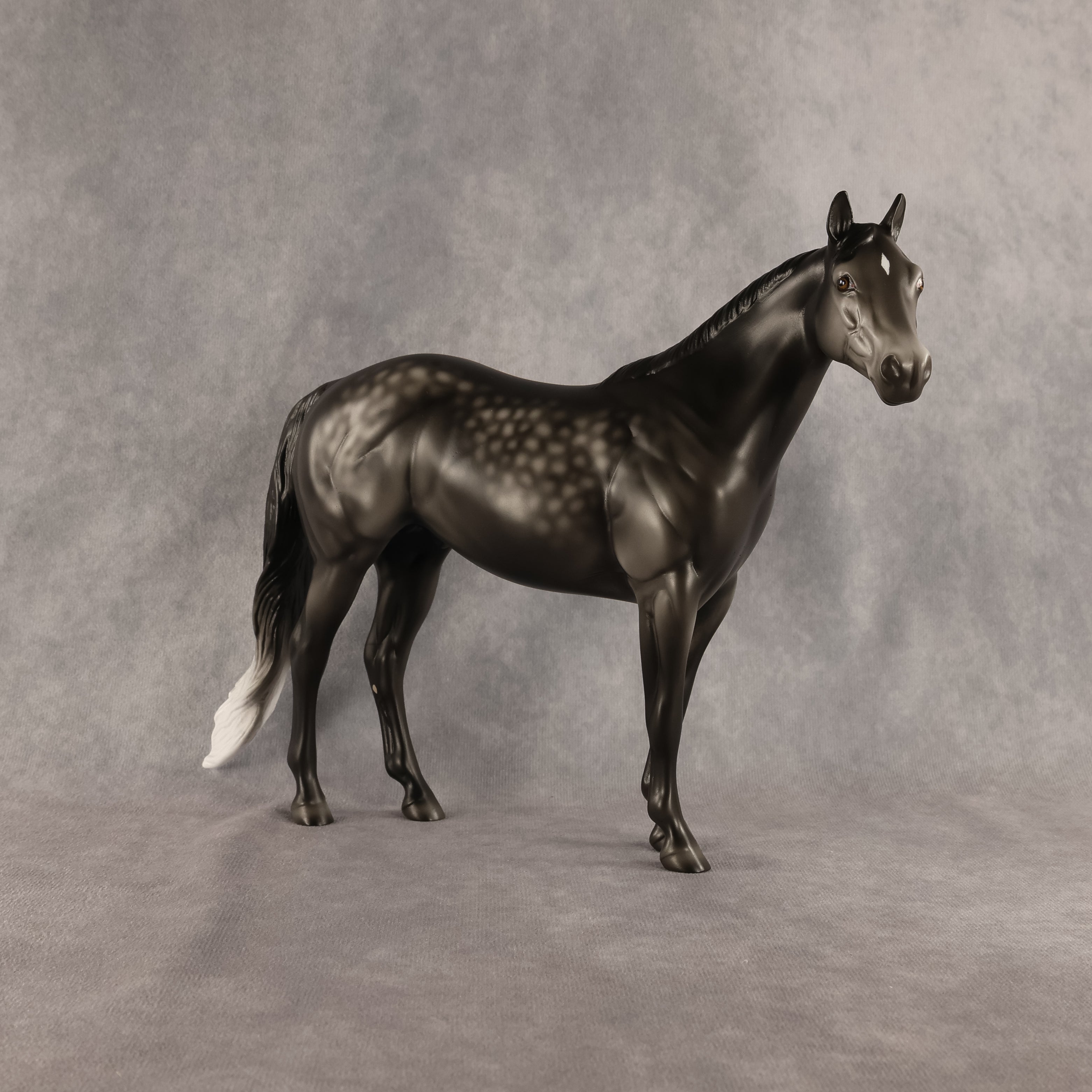 Flocky Slush OOAK Ideal Stock Horse by Madi Wiseman DDOOAKs26