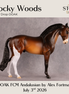 Flocky Woods OOAK FCM Andalusian by Alex Fortman DDOOAKs26