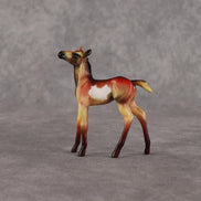 Flockyonce OOAK Chip Foal by Dawn Quick EQ26