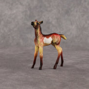 Flockyonce OOAK Chip Foal by Dawn Quick EQ26