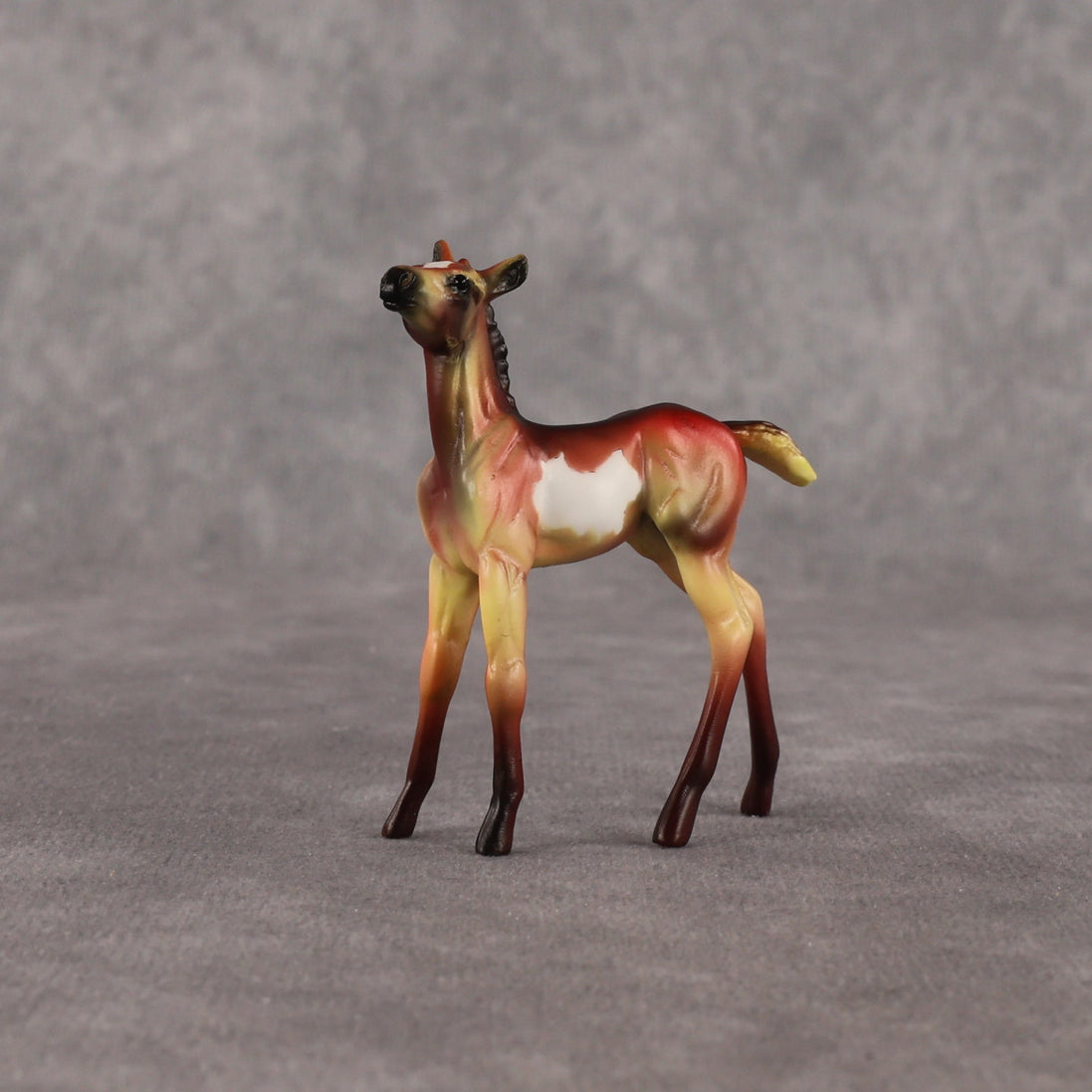 Flockyonce OOAK Chip Foal by Dawn Quick EQ26