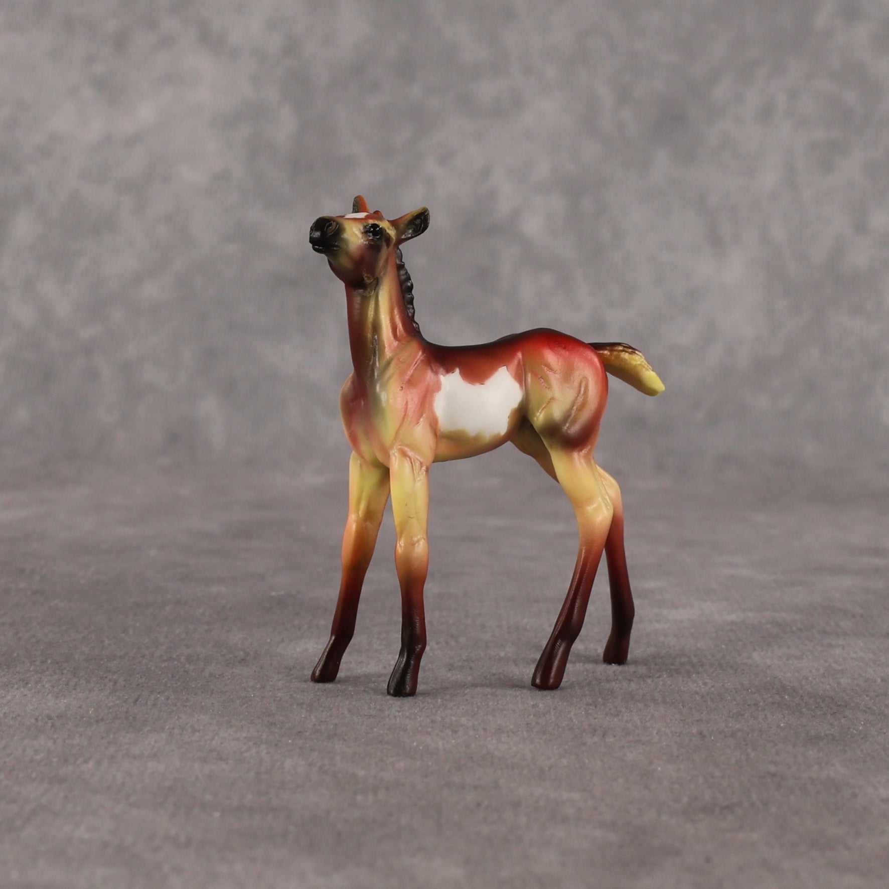 Flockyonce OOAK Chip Foal by Dawn Quick EQ26