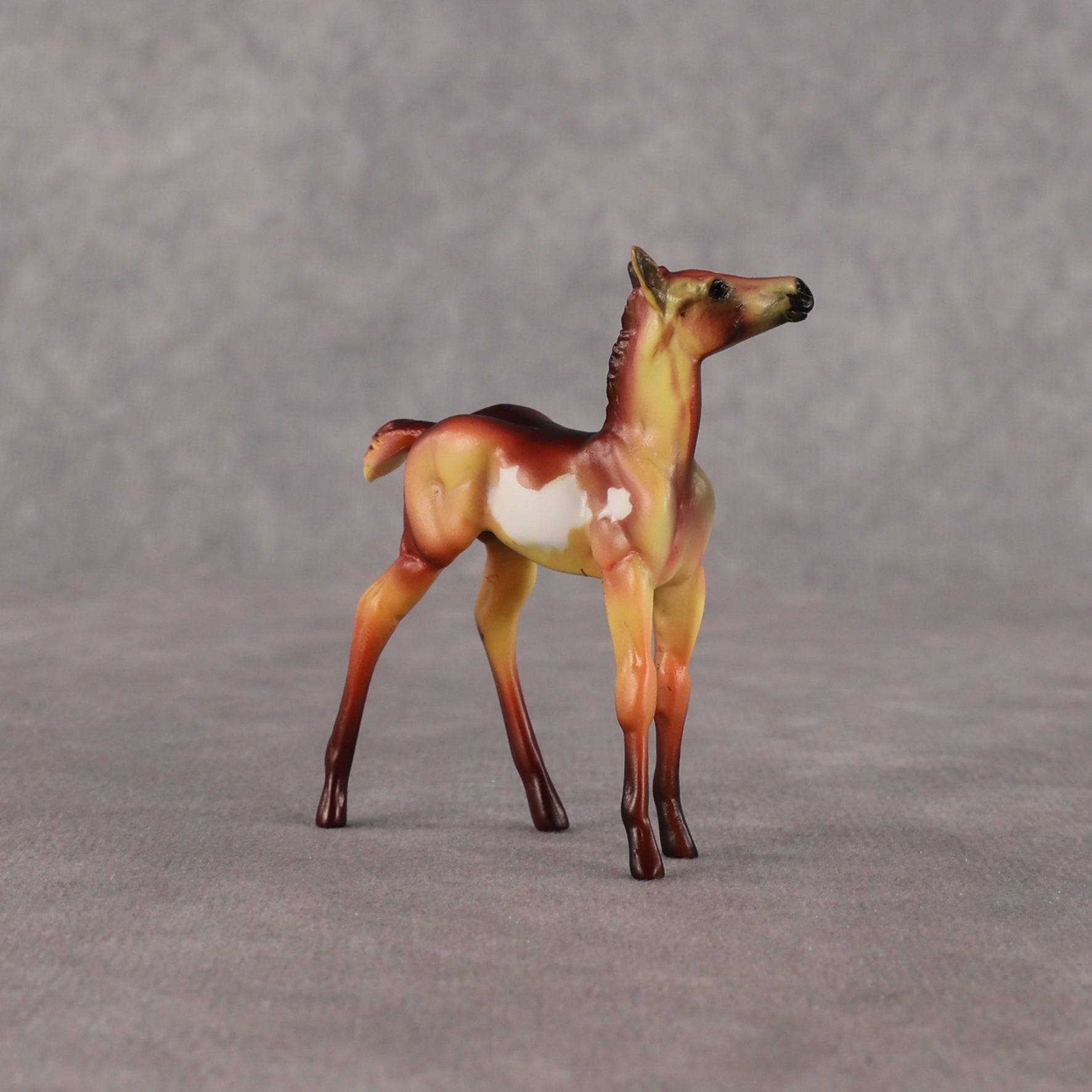 Flockyonce OOAK Chip Foal by Dawn Quick EQ26