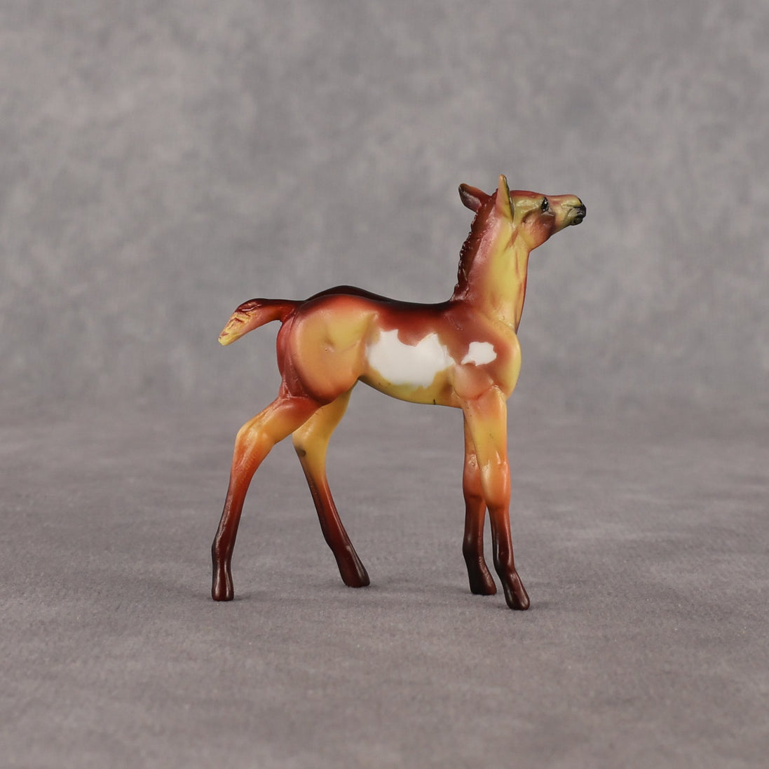 Flockyonce OOAK Chip Foal by Dawn Quick EQ26