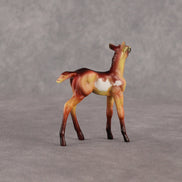 Flockyonce OOAK Chip Foal by Dawn Quick EQ26
