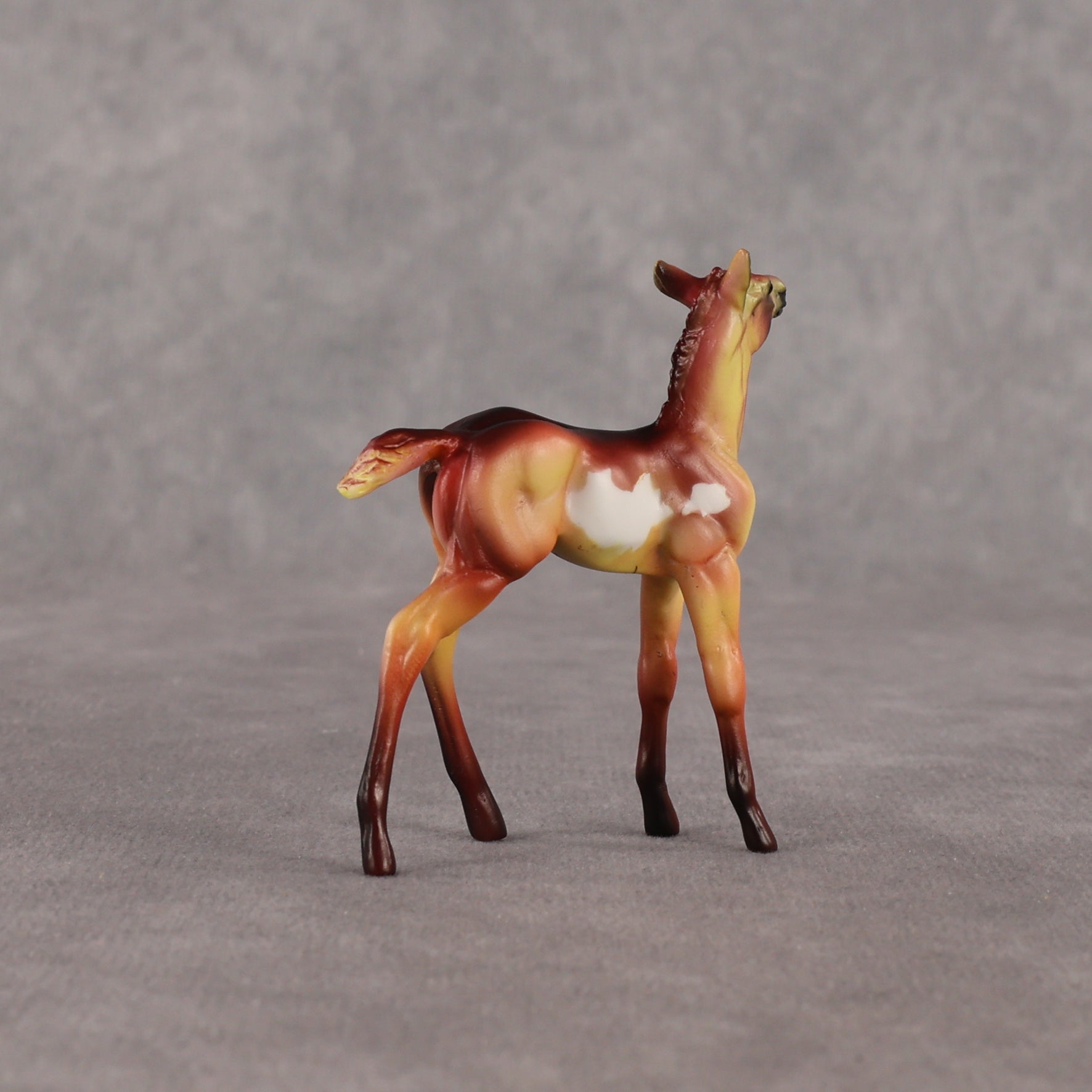 Flockyonce OOAK Chip Foal by Dawn Quick EQ26