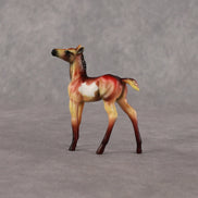 Flockyonce OOAK Chip Foal by Dawn Quick EQ26