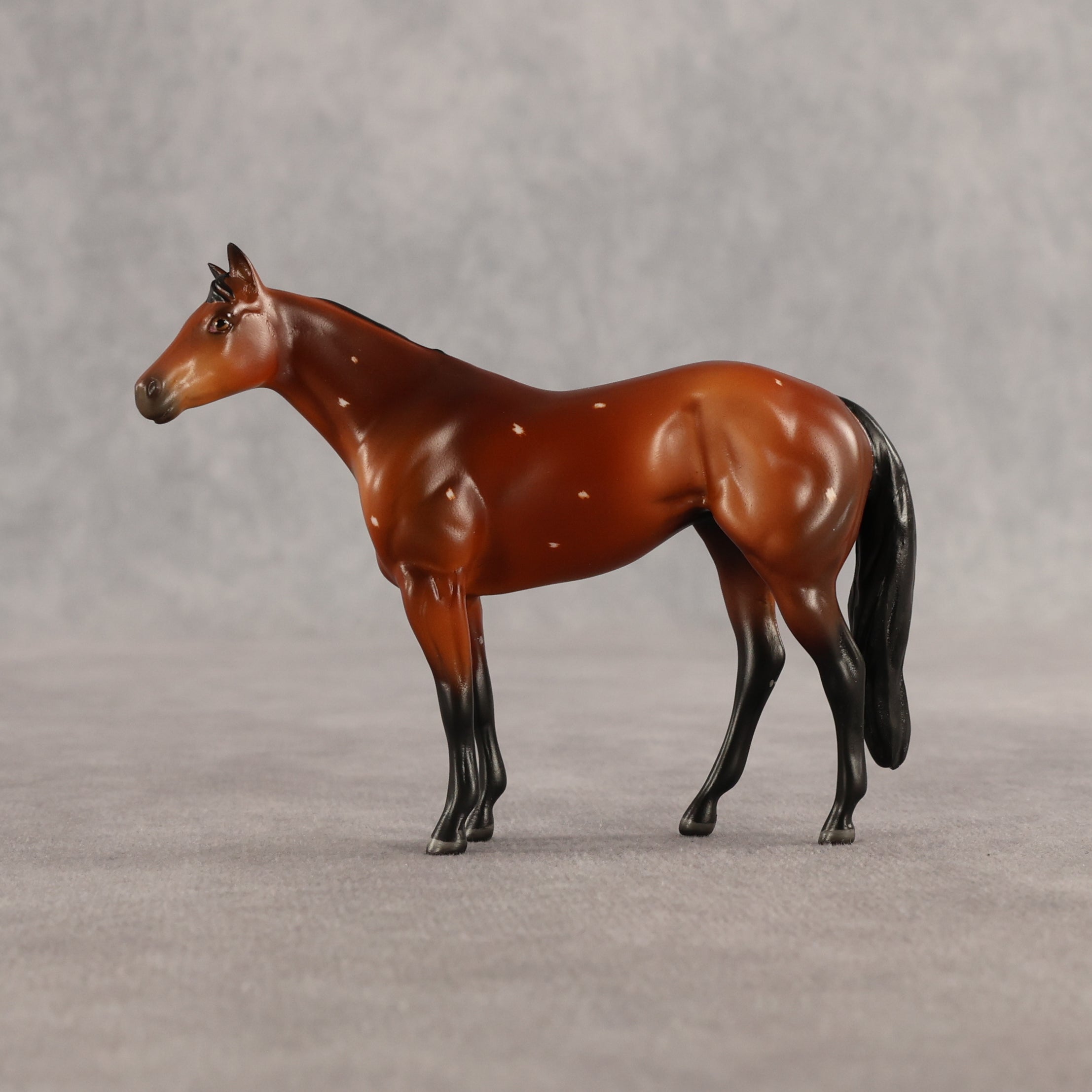Flurry & Flake OOAK Chip FCM Stock Horse & Chip Foal by Anna Rieck SCD26