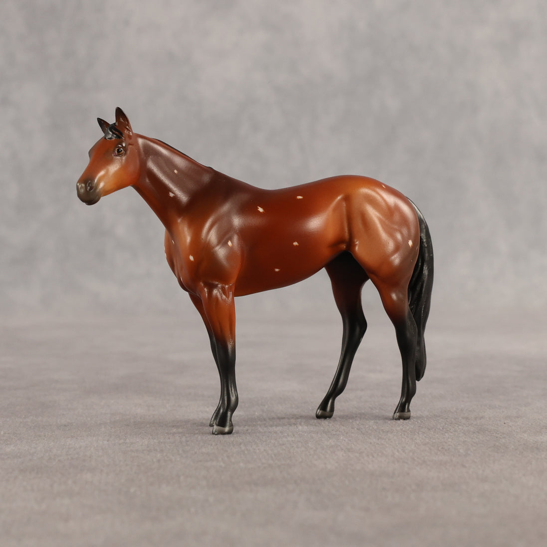 Flurry & Flake OOAK Chip FCM Stock Horse & Chip Foal by Anna Rieck SCD26