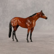 Flurry & Flake OOAK Chip FCM Stock Horse & Chip Foal by Anna Rieck SCD26