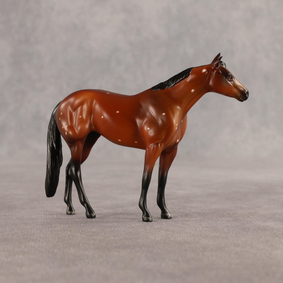 Flurry & Flake OOAK Chip FCM Stock Horse & Chip Foal by Anna Rieck SCD26