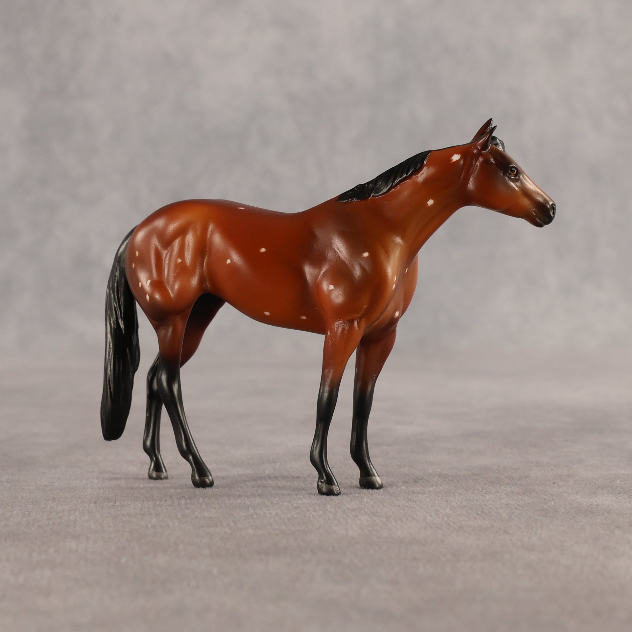 Flurry & Flake OOAK Chip FCM Stock Horse & Chip Foal by Anna Rieck SCD26