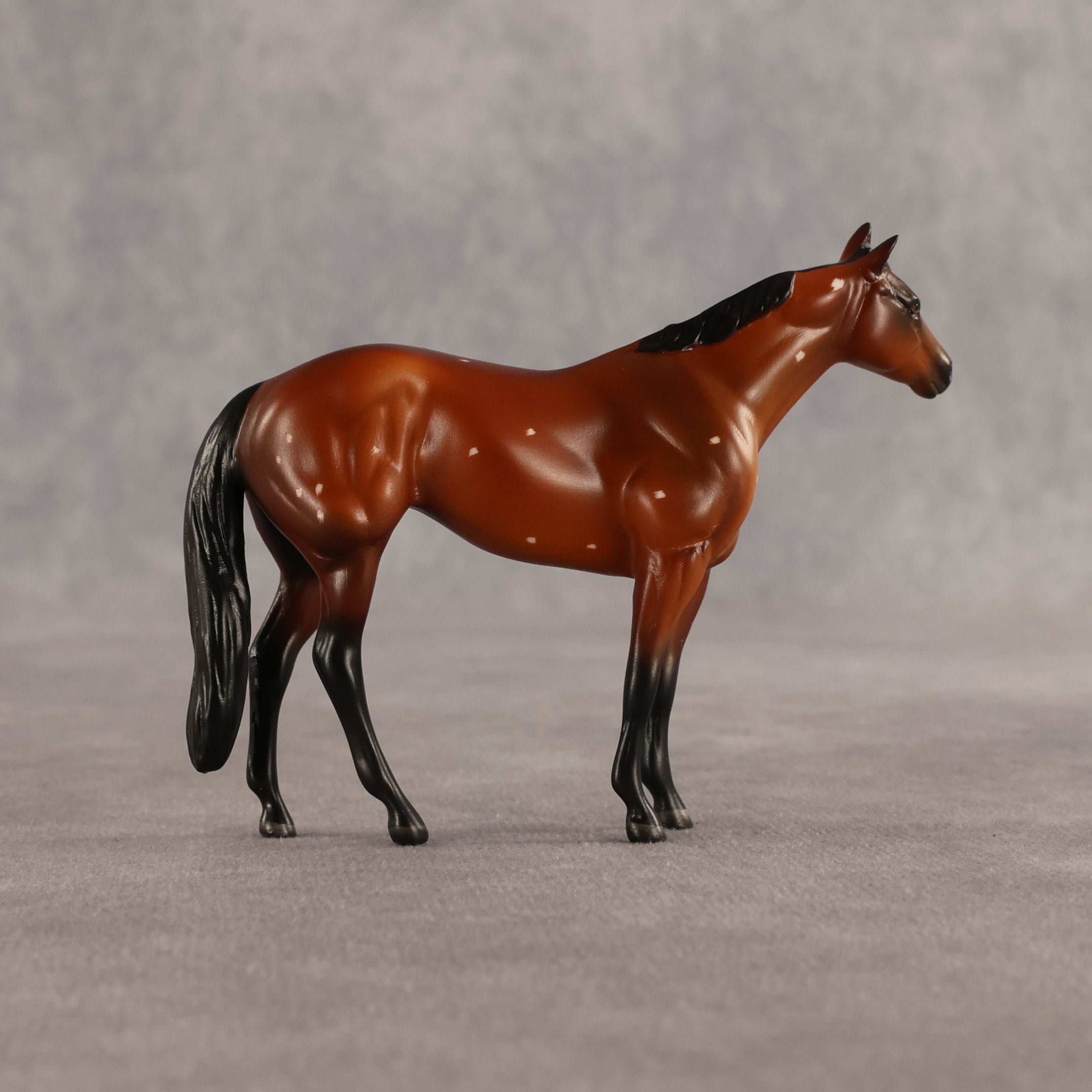 Flurry & Flake OOAK Chip FCM Stock Horse & Chip Foal by Anna Rieck SCD26