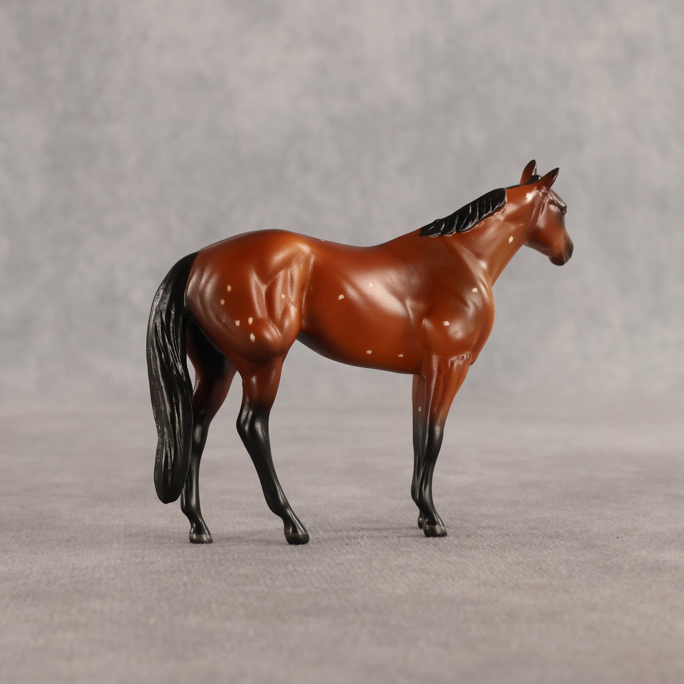 Flurry & Flake OOAK Chip FCM Stock Horse & Chip Foal by Anna Rieck SCD26