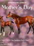 Flurry & Flake OOAK Chip FCM Stock Horse & Chip Foal by Anna Rieck SCD26