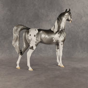 Fork OOAK Arabian Stallion by Dawn Quick SHCF26