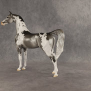 Fork OOAK Arabian Stallion by Dawn Quick SHCF26