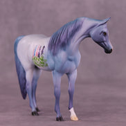 SAMPLE Foxhill Nina LE-3 Pebble Arabian Mare by Dawn Quick