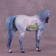 SAMPLE Foxhill Nina LE-3 Pebble Arabian Mare by Dawn Quick