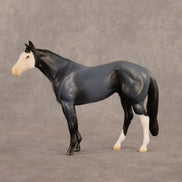 Franklin LE-5 Chip Stock Horse by Madi Wiseman September $99 Chips