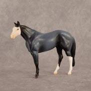 Franklin LE-5 Chip Stock Horse by Madi Wiseman September $99 Chips