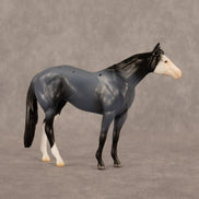 Franklin LE-5 Chip Stock Horse by Madi Wiseman September $99 Chips