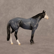 Franklin LE-5 Chip Stock Horse by Madi Wiseman September $99 Chips