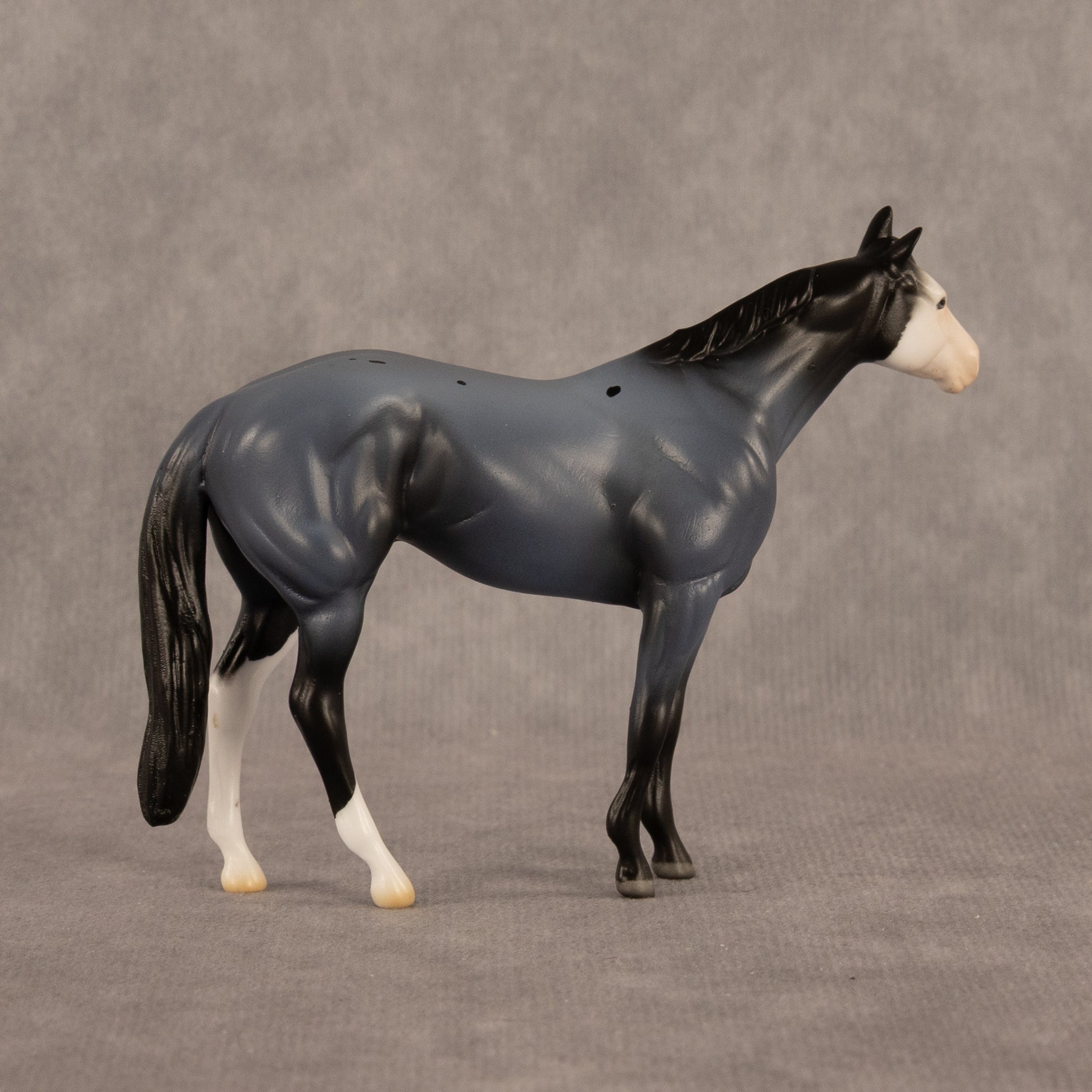 Franklin LE-5 Chip Stock Horse by Madi Wiseman September $99 Chips