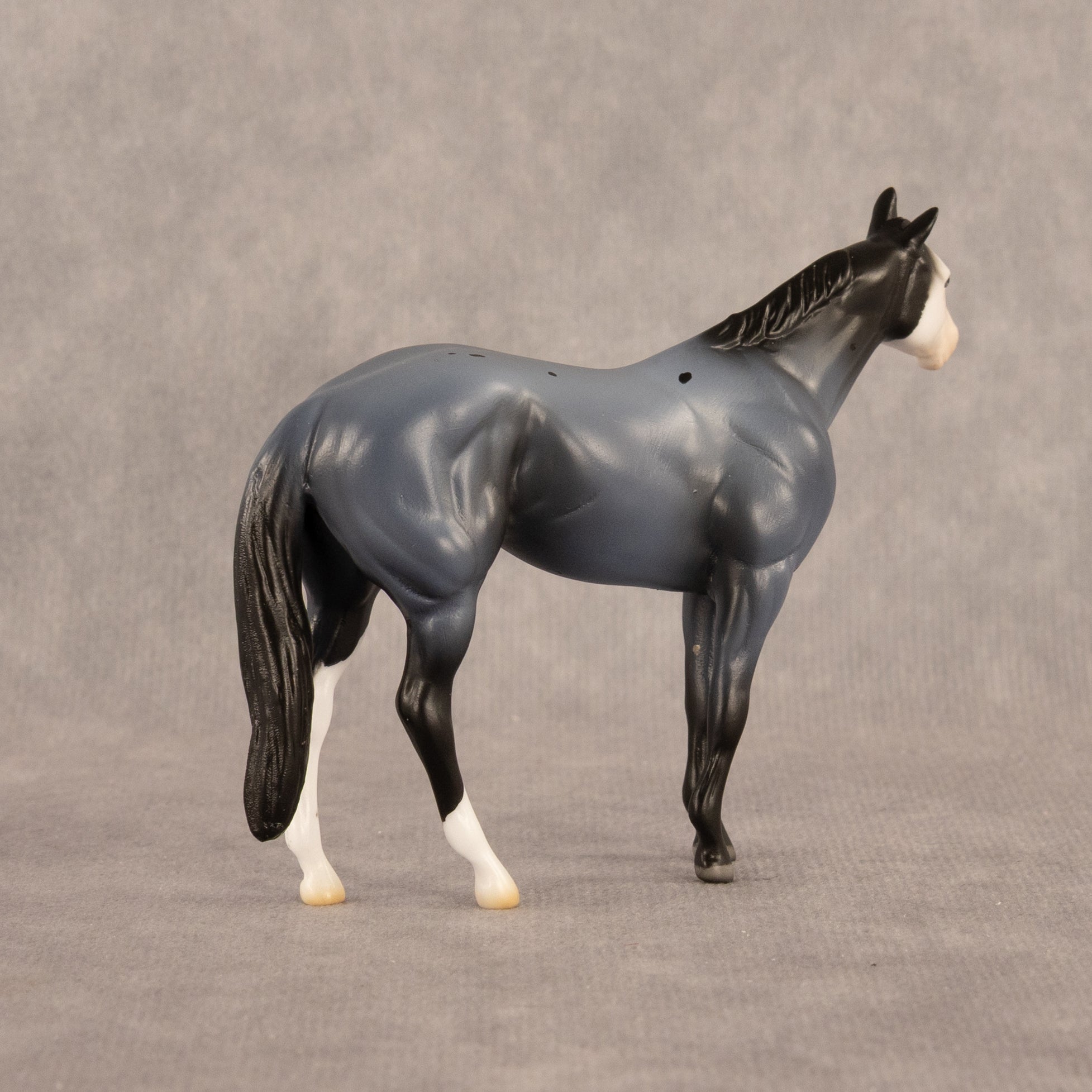 Franklin LE-5 Chip Stock Horse by Madi Wiseman September $99 Chips
