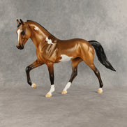 Fred OOAK Tennessee Walker by Erin Corbett EQ26