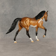 Fred OOAK Tennessee Walker by Erin Corbett EQ26